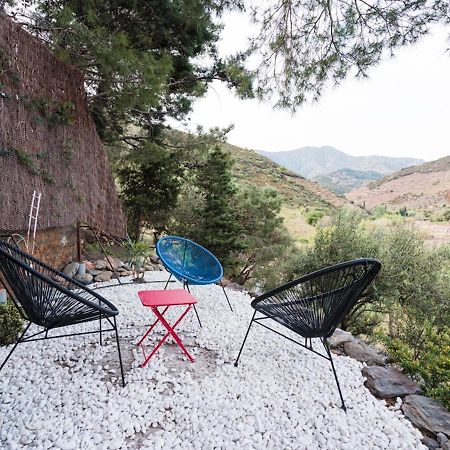 Maison F2 Independante Avec Terrasse, Climatisation Et Wifi A Banyuls-Sur-Mer - Fr-1-309-262 Εξωτερικό φωτογραφία
