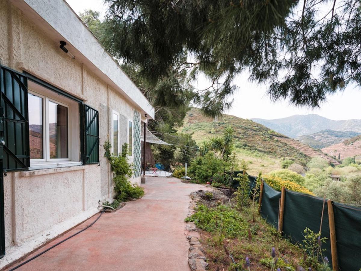 Maison F2 Independante Avec Terrasse, Climatisation Et Wifi A Banyuls-Sur-Mer - Fr-1-309-262 Εξωτερικό φωτογραφία